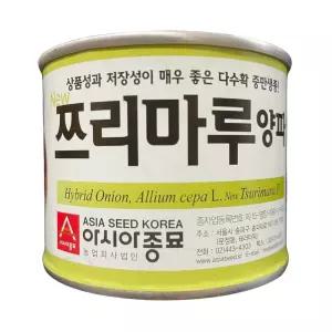 뉴쯔리마루양파 100g 양파 씨앗 종자 다수확 중만생품종 저장성 우수 아시아종묘