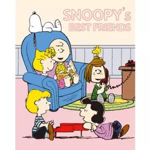 아트박스/아이러브페인팅 DIY 그림그리기 세트 피너츠 스누피 BEST FRIEND 40x50