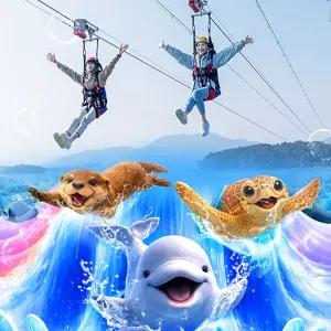 아쿠아플라넷 여수 + 라마다짚트랙 PKG(6/1~6/30)