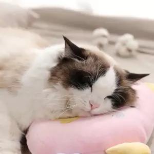 강아지 잠자리 고양이 타원돼지 쿠션 타원 애견용품 베개
