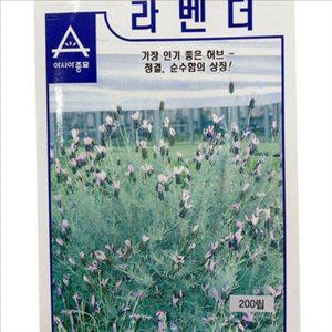 정원 라벤더 씨앗 다년생 허브 씨앗 꽃 키우기 아로마 향기