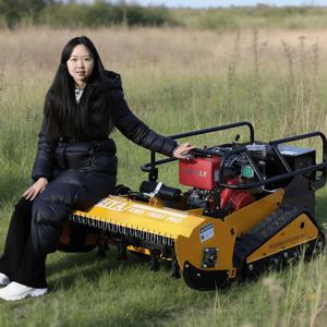 맞춤형 AWY-800 플레일 모어 850W 브러시리스 워킹 모터, 강력하고 오래 지속되는 150mm 폭 트랙, 강력한 접지력