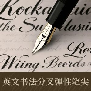 MAJOHN 플라워 스타일 영어 소프트 탄성 캘리그래피 펜 팁 코퍼플레이트 ES ER 라운드 바디 고딕 포인트 팁, P136, P137, P138, P139
