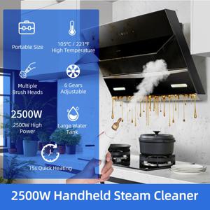 2500W 고압 스팀 청소기 고온 가압 스팀 청소 기계 1100ml 3 바 휴대용 핸드 헬드 스팀