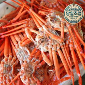 3일특가 박달홍게 파격적 할인 / 6kg 대용량 실속형 자숙 홍게  / 당일조업 (오후 4시이전 주문시 당일출고)