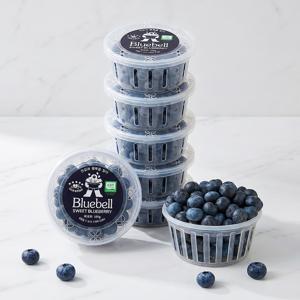 [자연의정] 국산 생 블루베리 생과 특품 14mm (팩당 100g) 6팩