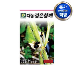 검은 참깨 씨앗 3000립 . 야채 채소 텃밭 파종 재배 주말 농장 씨 종자.