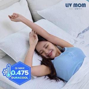 리브맘 아이스냉감 육각셀 베개커버 2+2 40x60/50x70