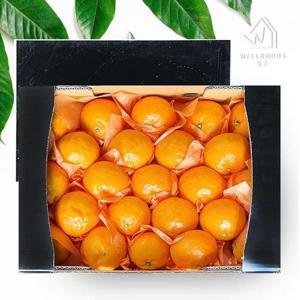 갤러리아_[웰굿]제주직송 카라향 선물세트 2.5kg(10-21과,중대과)