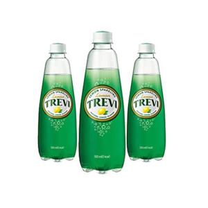 무료배송  롯데 트레비 레몬 300ml x 20개