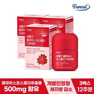 퍼니트 새빨간 콜레우스 포스콜리 다이어트 3병(12주분) 개별인정형 체지방감소