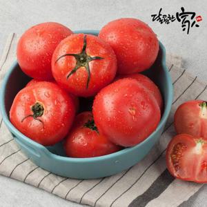 완숙 찰토마토 대과 5kg
