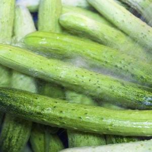 [기타]국내산 다다기오이 백오이 1kg