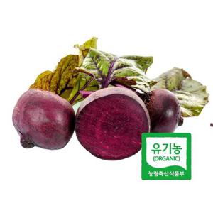 초록초록팜 유기농 비트 3kg 신선채소 산지직송 샐러드용 즙용 건강 야채 국내산 친환경 ZU