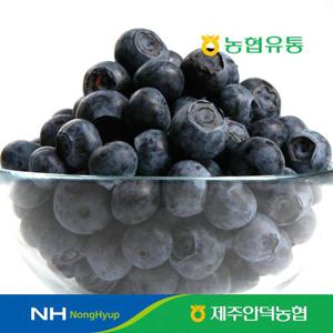 농협유통 제주 안덕농협 블루베리 생과 100g x 6팩 / 14~16mm