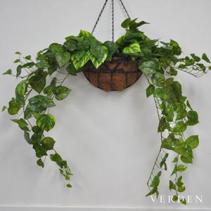 공간을 채우는 그린, 스킨 포토스 넝쿨 조화 100cm 행잉 플랜트