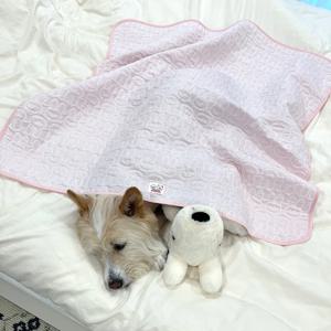 강아지 여름 이불 쿨링 양면 블랭킷 듀라론 핑크
