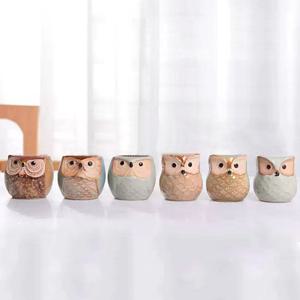 부엉이 다육이 미니화분 6종 세트