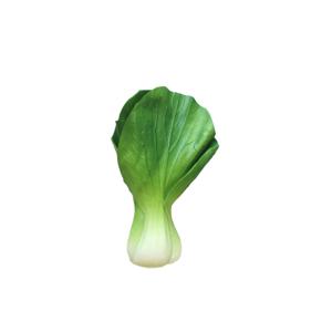 리얼 청경채 모형 푸드스타일링 음식촬영 소품