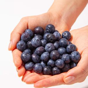 신선가득 국내산 블루베리 1kg (16mm)