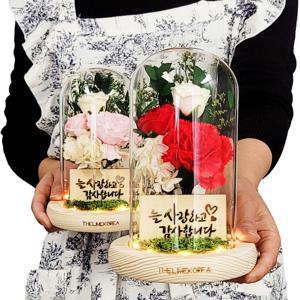 어버이날 카네이션 미스티 유리돔 무드등 선물 꽃조명