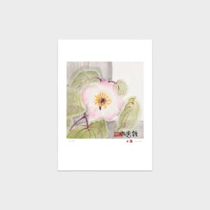 소산 박대성 화백 화정 49 / 수묵화 오리지널 실크스크린 판화 작품 꽃 그림 액자
