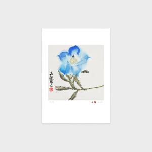 소산 박대성 화백 화정 54 / 수묵화 오리지널 실크스크린 판화 작품 꽃 그림 액자