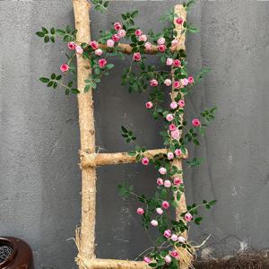 TEMU 인조 장미 덩굴 1개, 길이 1.8미터/5.9피트, 아우크스부르크 티백꽃 덩굴. 가정 장식, 웨딩 파티 장식, 정원 및 마당 울타리 장식용