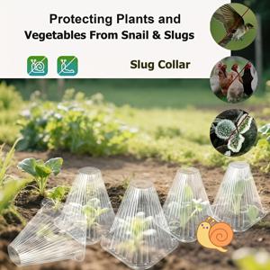 TEMU 45pcs Large Transparent Plastic Plant Cloche Set - Reusable Frost, Pest, and Bird Protection, Ideal for Home Gardening and Greenhouse Seedlings