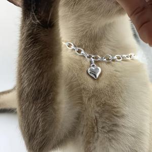 TEMU 고양이 & 소형견용 조절식 골든 하트 펜던트 칼라 목걸이 1개 - 하트가 있는 톤감 있는 반려동물 목걸이, 철제 소재, 조절식 스트랩 및 새끼 고양이와 강아지를 위한 스타일리시한 태그 액세서리 (주인과 반려동물 스타일)
