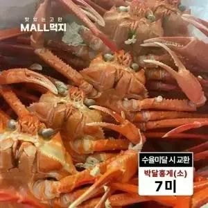 [수율미달시 교환가능]제철 봄 깊은바다 울릉도 독도 붉은대게 속초 최상급 박달홍게 소 2kg (7미)