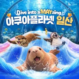 [일산] 아쿠아플라넷 입장권(6/1~6/30)