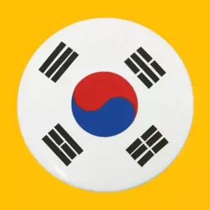 [셀러에이드]DIY 태극기 뱃지 와펜 만들기 학습 키트 세트 어린이 종이바람개비