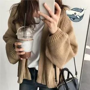 루즈핏 니트 가디건 여름 데일리 스타일리시 여성 용 썸머 카디건 숏 가디건 얇은 여름 그물 롱