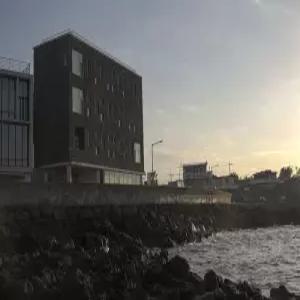 [제주] salt(제주, 제주)