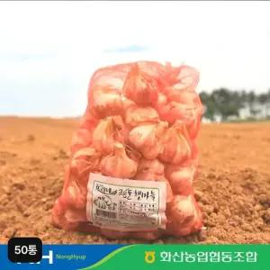 해남 화산농협 햇마늘 (50통, 반접, L사이즈)