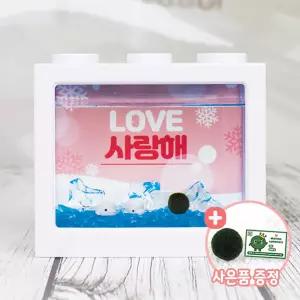 고래 마리모 키우기 세트 블럭어항 LED등 마리모밥