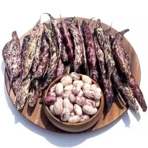 국내산 밤콩 호랑이콩 1kg