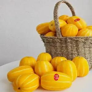 프리미엄 성주 참외 특품 3kg 5kg