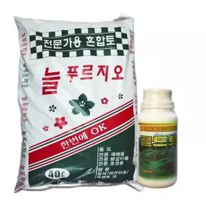 RG810O8U전문가용 대용량 분갈이 식물 활력액 세트