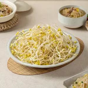 천연암반수로 키운 아삭아삭 콩나물 2kg