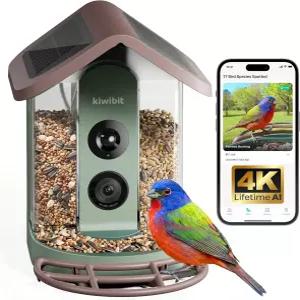카메라 미가입 AI 조류 종 식별 4K HD 라이브 비디오 및 8MP 사진 애호가를 위한 무선 야외 야생 관찰 선물