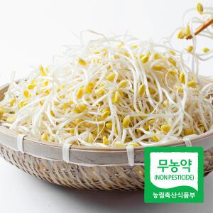 [품질보장] 국산콩으로 재배한 이조은 산소콩나물 2kg