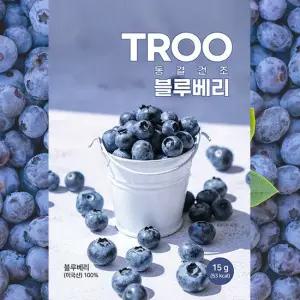 TROO 동결건조 블루베리 15g*25팩