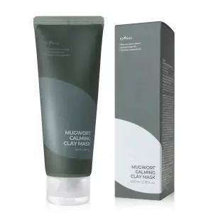 ISNTREE 이즈앤트리 머그워트 카밍 클레이 마스크 100ml (모공 클레이팩)