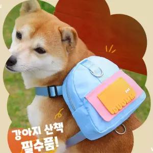 진돗개 대형견 강아지 하네스 가방 백팩 풉백 댕댕이 백팩하네스 인기
