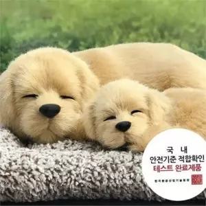 대형 제습 인형 고양이 귀여운 탈취 제습 동물 인형 장마철 반려동물 신발장 차량용 사무실 다용도 증후군
