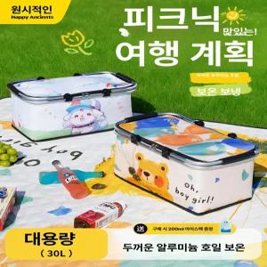 야외 캠핑 보온 냉장 보냉 박스 휴대용 피크닉 차량용 접이식 가방