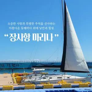 [실시간][강원] 장사항마리나 이용권(장사항마리나/힐링/요트체험/속초 요트/속초 이색 체험/동해바다)