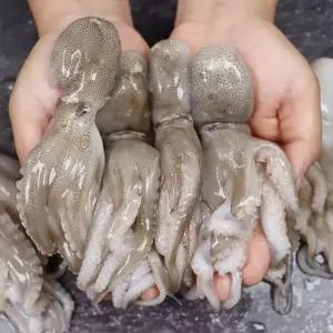 서천어부의 급냉 주꾸미 쭈꾸미 1kg